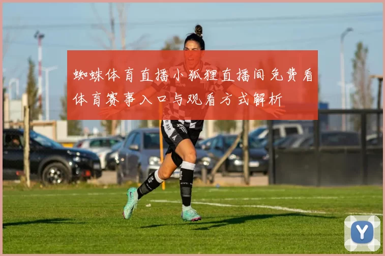 蜘蛛体育直播小狐狸直播间免费看体育赛事入口与观看方式解析